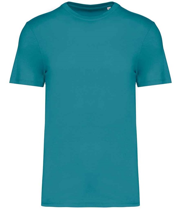 Native Spirit Unisex T-Shirt