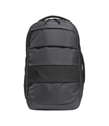 Hybrid backpack