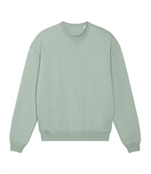 Unisex Ledger dry sweatshirt (STSU798)