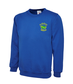 Hollyfield Primary V Neck Sweatshirt